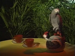 A parrot counts 2 (First: Episode 3108)