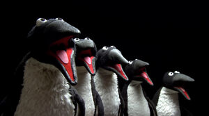 Bohemianpenguins