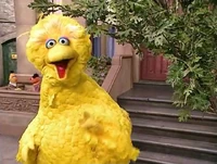 Episode 4053 scene 1