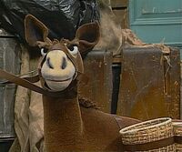 Iago mule