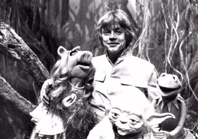 MarkHamill-Muppets-Yoda