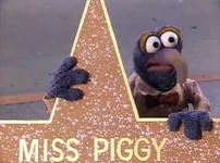 Piggy-hollywoodstar.jpg (64 KB)
