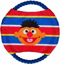 Ernie frisbee
