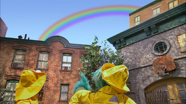 "I Finally Saw a Rainbow"