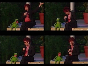 Kermit with Ruby Wax