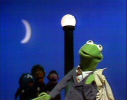 "This Frog"