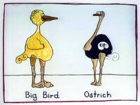 "The Noble Ostrich" (First: Episode 0998)