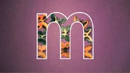 9 butterflies take the shape of the letter M.