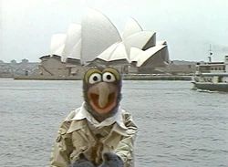 TMS promo Australia Gonzo Sydney Opera House