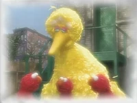 In Elmo's Dream, Elmo dreams that his reflection comes out of the mirror, then another Elmo appears, later on all three Elmos become good friends.