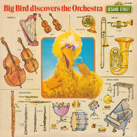 Big Bird Big Bird Discovers the Orchestra