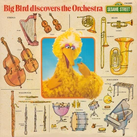 Album.bigbirdorchestra