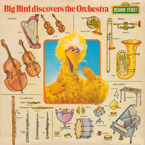 Album.bigbirdorchestra.jpg