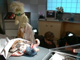 Brian henson performing.jpg (165 KB)