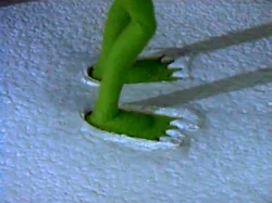 Kermit in Muppets Tonight episode 207