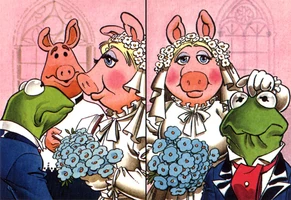 Panini Trading Stickers