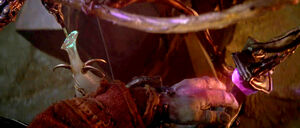 TheDarkCrystal-DrainedEssence