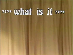 What Is It