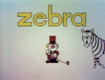 Z: Zebra, Zoo