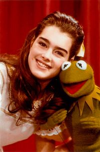 Brooke Shields11