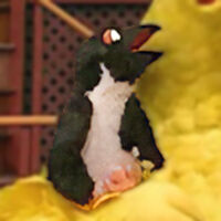 Shivers the Penguin in Episode 4038