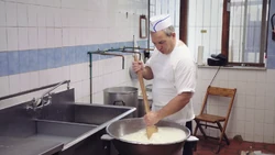 FoodieTruck-Cheese02