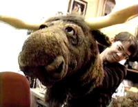 The Moose Head is prepared for Muppet Treasure Island