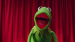 OKGo-Muppets (13)