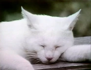 Everybodysleeps.jpg (256 KB)