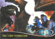 "Lava's a Many Splendored Thing" 229