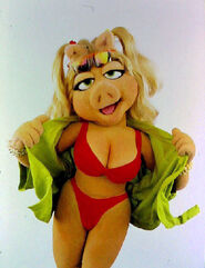 Muppets Tonight 5