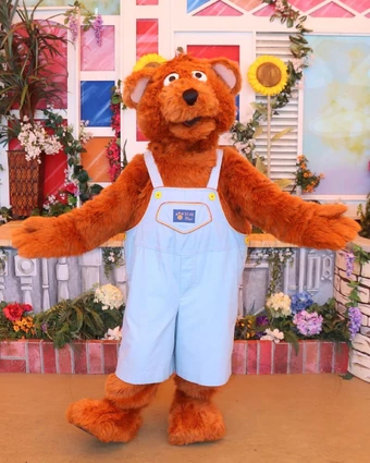 sesame street baby bear plush