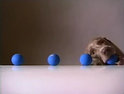 Fay Ray: subtraction 4 (First: Episode 2586)