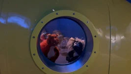 Shedd Aquarium 2023-3.jpg (149 KB)