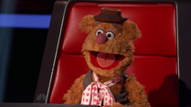 Fozzie Bear as Blake Shelton