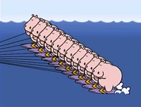11hippos.jpg (109 KB) 11 (First: Episode 4011)