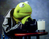 Kermit the Frog (leather jacket & milk)