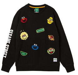 Pancoat crewneck top