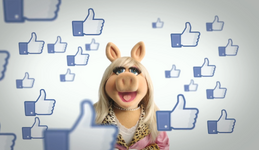 Piggy facebook6