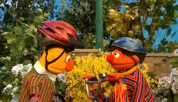 Learning to Ride a Bike