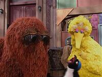 a penguin in Episode 3995 of Sesame Street.