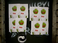 AllenAKA-IMG 0367.jpg (109 KB)