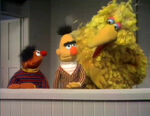 Ernie and Bert: Tall, Taller, Tallest