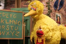 Big Bird and Birdketeer Elmo