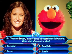 Elmo-on-Millionaire