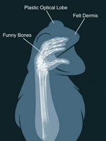 Shirt Woot design by amegoddess