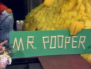 Mr Pooper