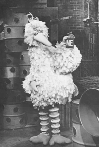 BB-WonderfulMeBW2.jpg (467 KB)