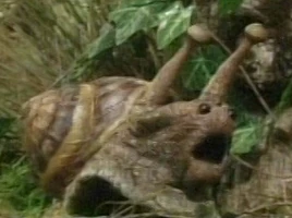 The Snail The Tale of the Bunny Picnic