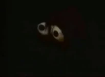 DarkEyesTingo.jpg (6 KB) TingoSesame English